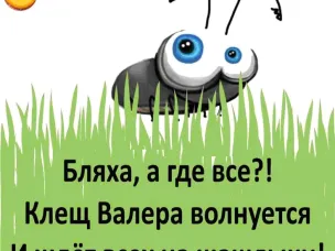 Нижегородцам напомнили, куда нести на исследование клеща