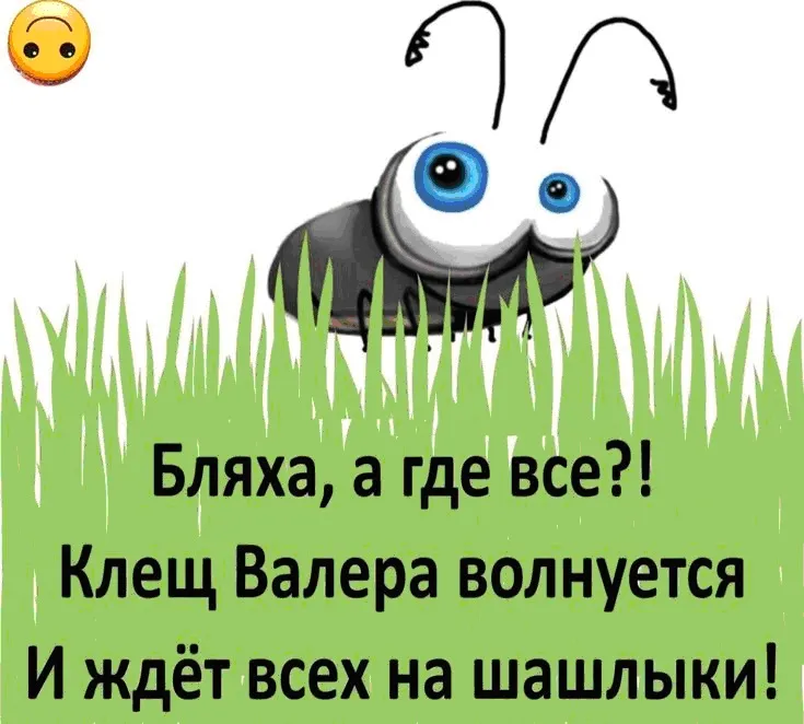 Нижегородцам напомнили, куда нести на исследование клеща