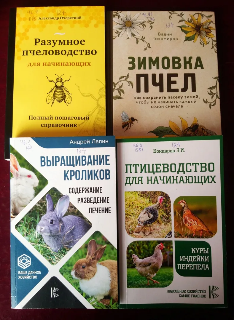 Не хлебом единым…