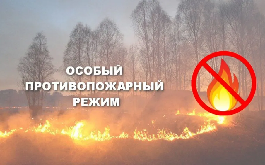 Об установлении на территории Нижегородской области особого противопожарного режима