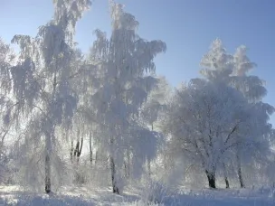 Морозы до -24...-29° придут в Нижегородскую область на этой неделе