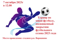 Турнир по мини-футболу