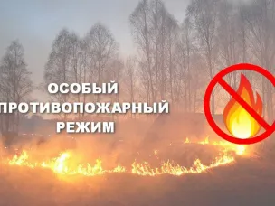 Особый противопожарный режим