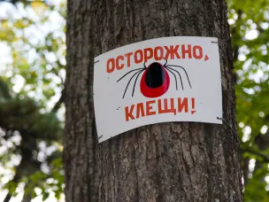 Об эпидемиологической ситуации по инфекциям, передающимся клещами