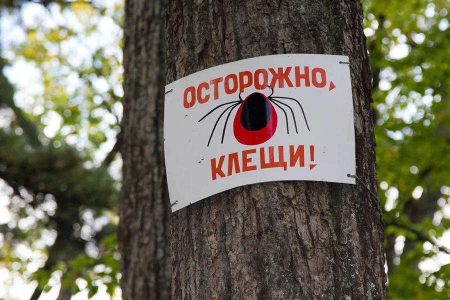 Об эпидемиологической ситуации по инфекциям, передающимся клещами
