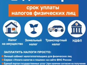 1 декабря - срок уплаты налогов для физических лиц