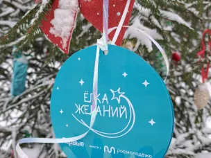 Всероссийская акция "Елка желаний" прошла в Варнавинском округе