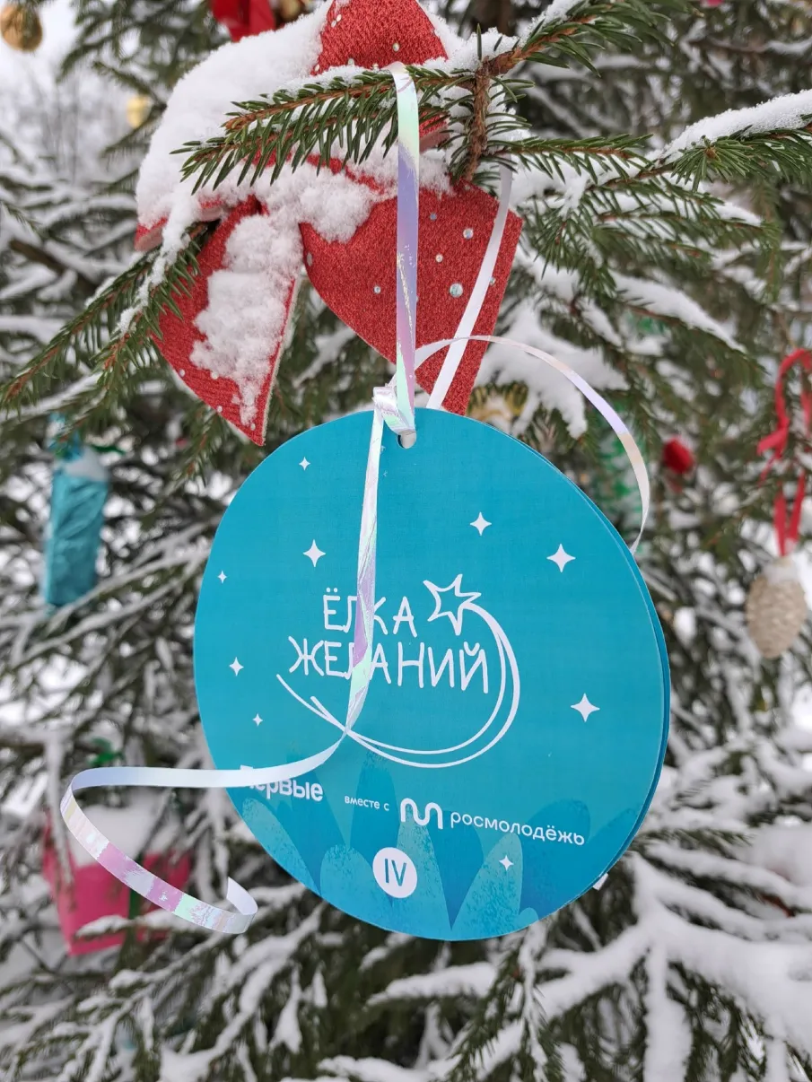 Всероссийская акция "Елка желаний" прошла в Варнавинском округе
