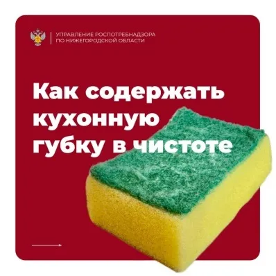 О губках для посуды: как гигиенично использовать?