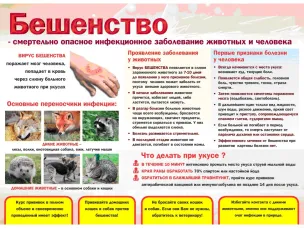 Укусы животных - тема эта крайне важная и актуальная.